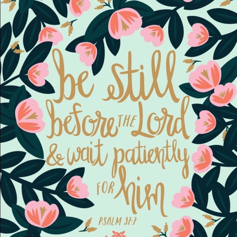 Meet your Posher, Laurel